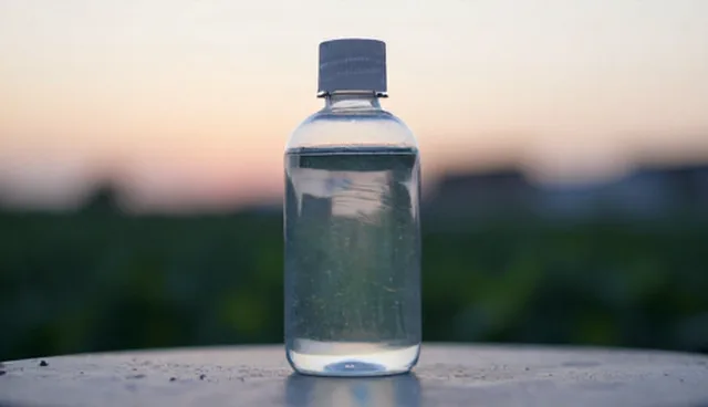 营销转化中的种苗供应策略与实施限制
